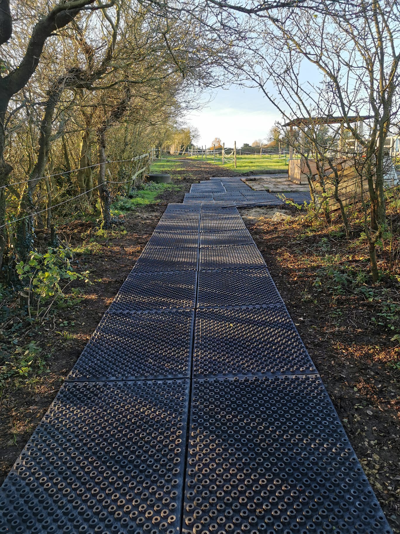 Valley View Track Livery Canterbury HIT Top Clean Jelka